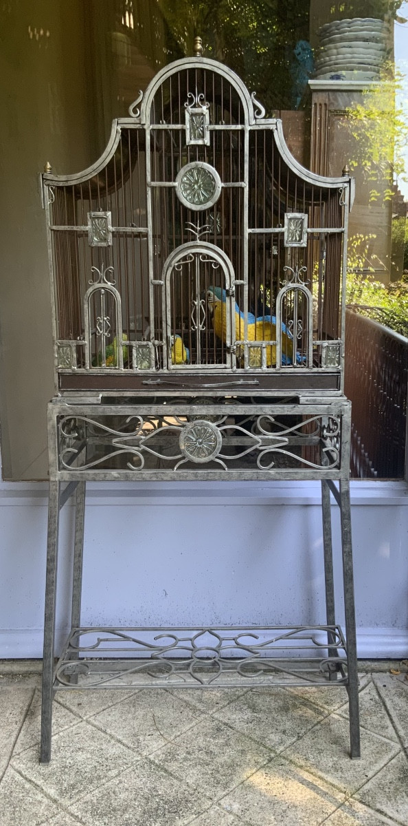 20th Century: A Birdcage 