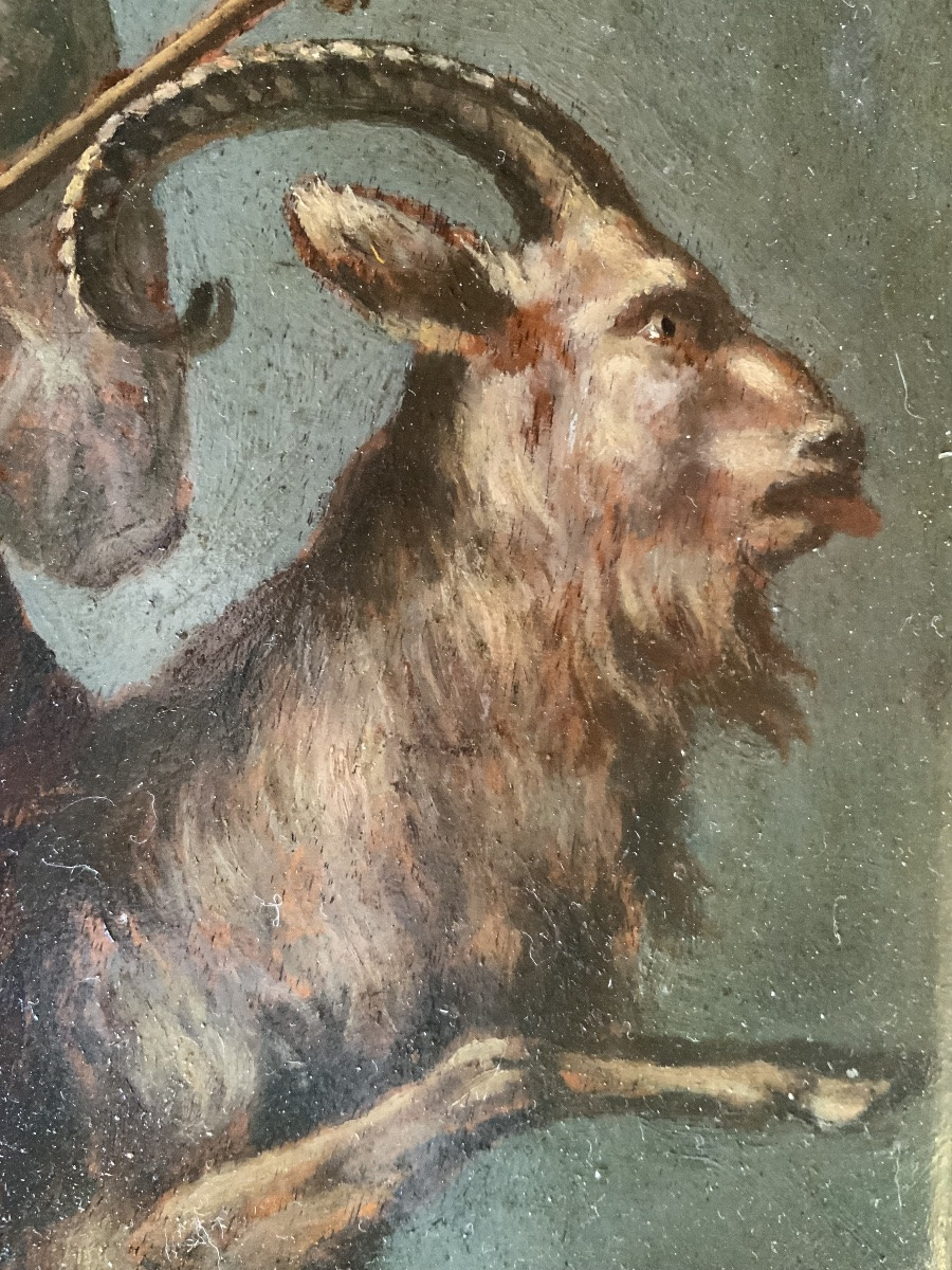 École du XIXeme siècle : Sorcière après le Sabbat -photo-3