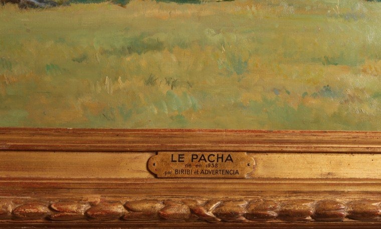 The Famous Horse  Le Pacha-photo-2