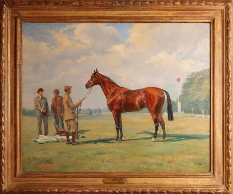 The Famous Horse  Le Pacha