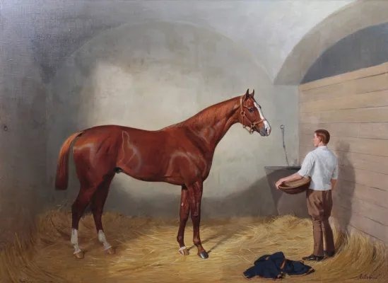  Portrait du célèbre cheval de courses "Culloden " à l'écurie .