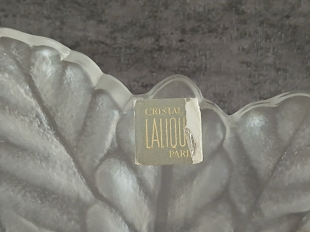 Lalique - Coupe où Vide Poche Modèle "compiègne"-photo-3