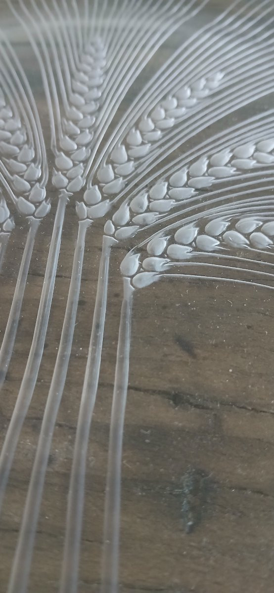 Lalique - Large Dish With Wheat Sheaf Decoration-photo-2