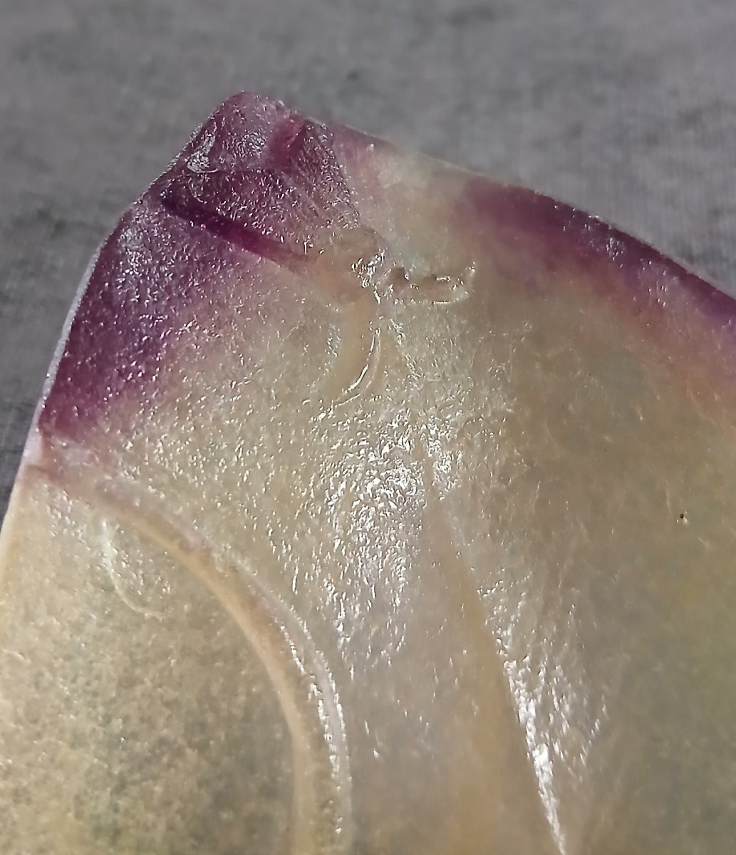 Daum Pâte De Verre Depicting A Lizard And An Insect On A Leaf.-photo-3