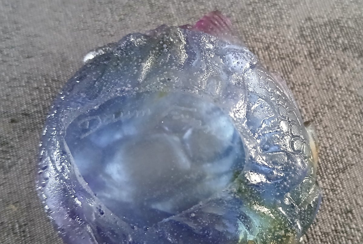 DAUM FRANCE - mini coupelle en pâte de verre représentant 2 poissons dans un tourbillon d'eau-photo-3