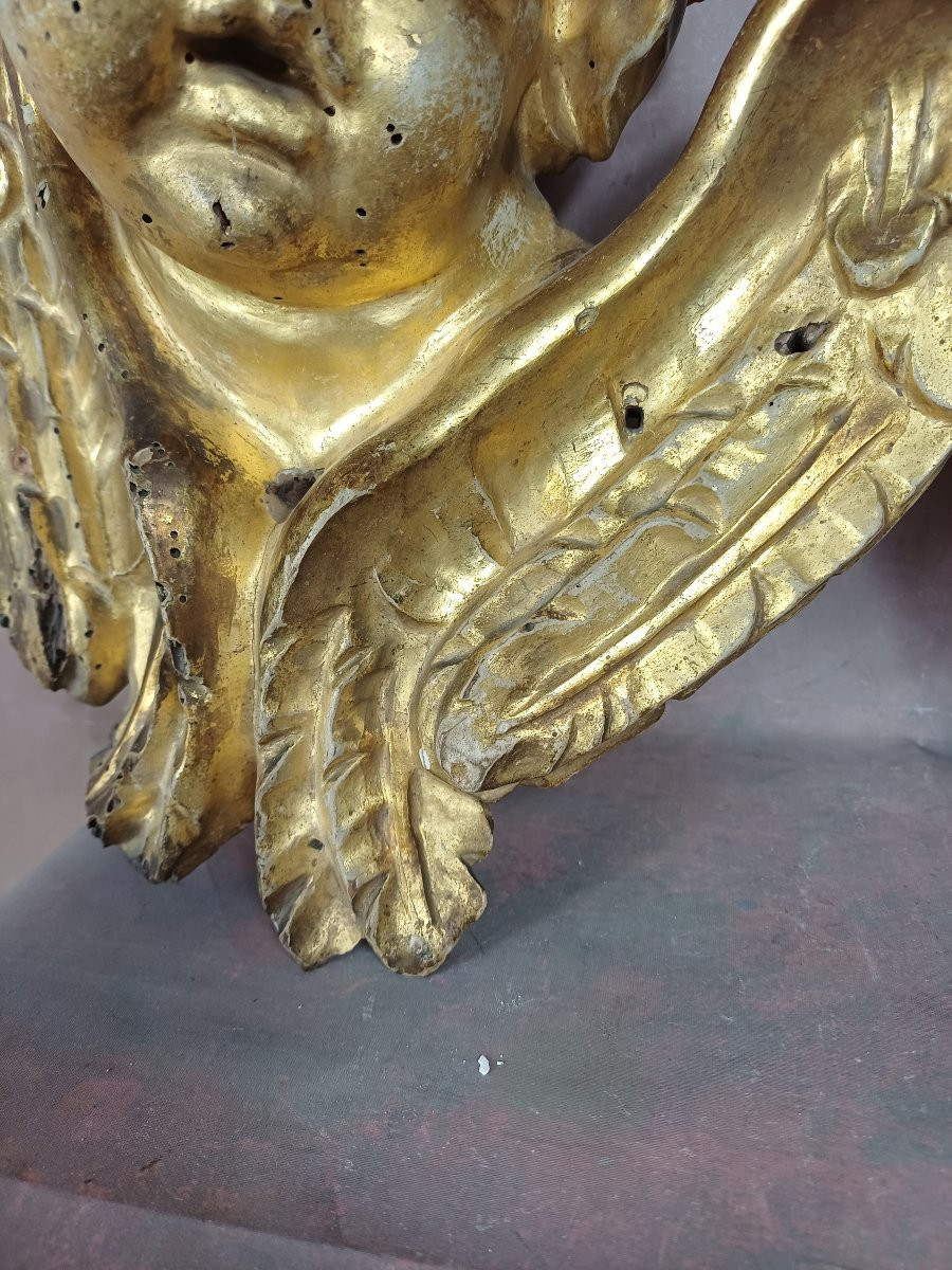 Paire de têtes d'Anges bois doré putti chérubin 18ème -photo-5