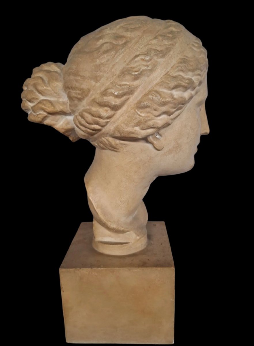 Venus De Martres School XX Eme-photo-2