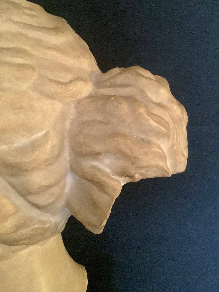 Venus De Martres School XX Eme-photo-5