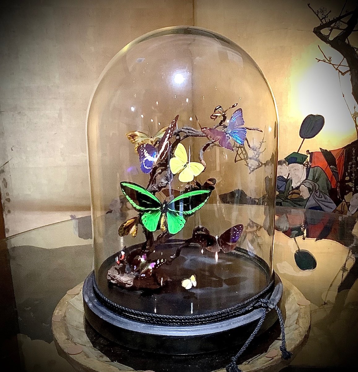 Large Blown Glass Globe, Decorated With Butterflies. Circa XIX Eme