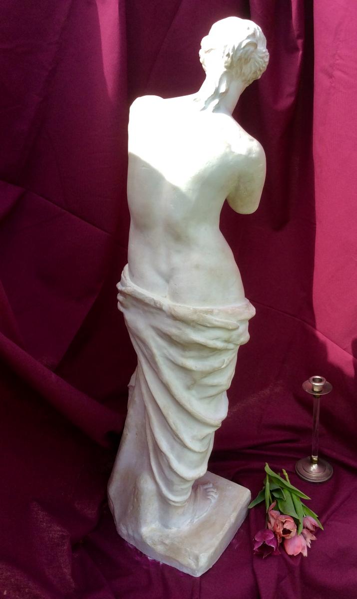 Plaster Sculpture From The Venus Of Milo Late Nineteenth-photo-1