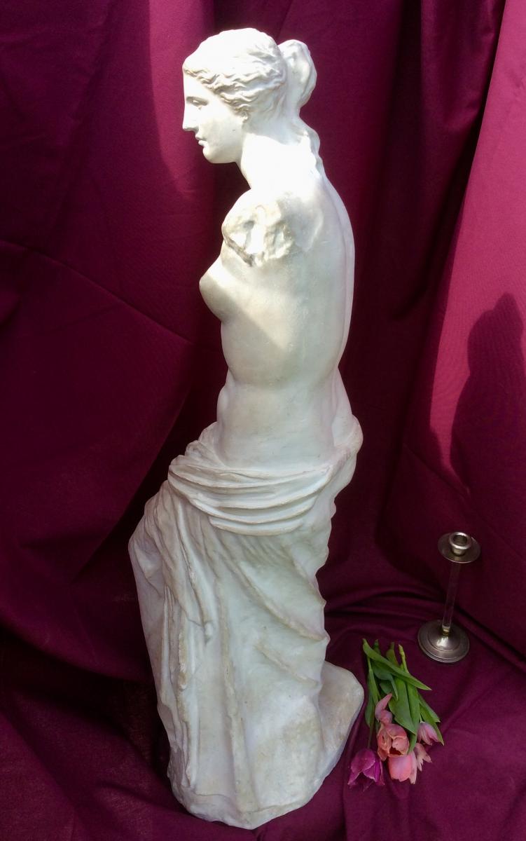 Plaster Sculpture From The Venus Of Milo Late Nineteenth-photo-2