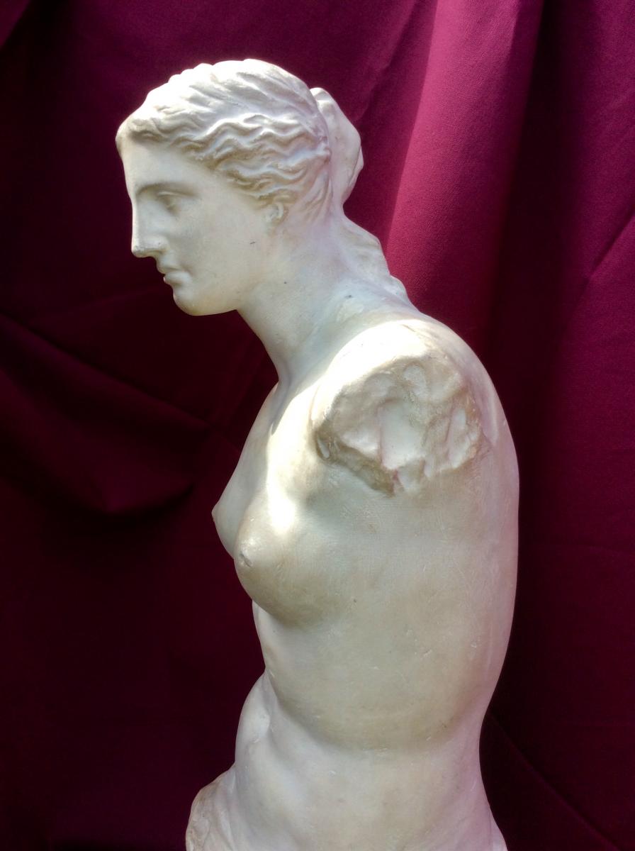 Plaster Sculpture From The Venus Of Milo Late Nineteenth-photo-4