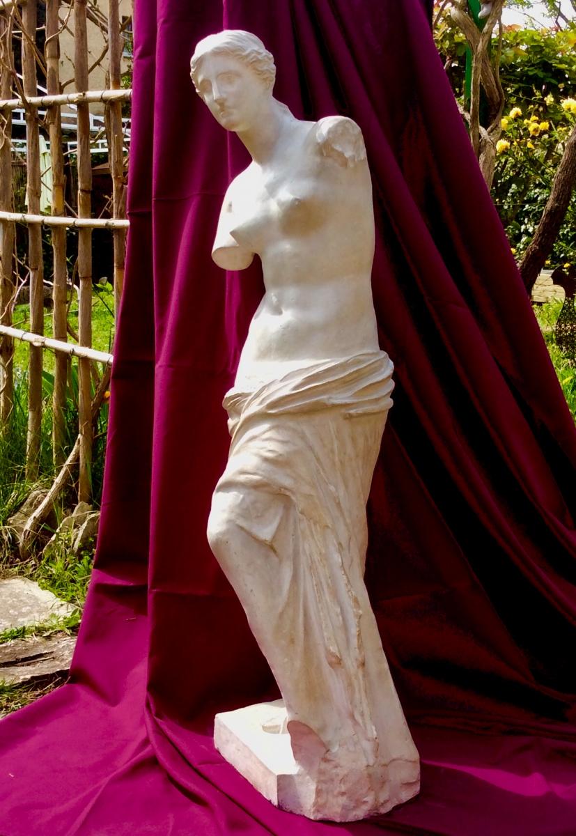 Plaster Sculpture From The Venus Of Milo Late Nineteenth-photo-7