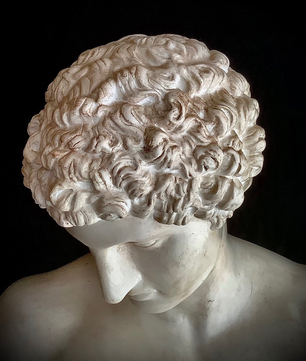 Buste D’antinoüs En Plâtre Reposant Sur Une Colonne Cannelée à Chapiteau Corinthien -photo-3