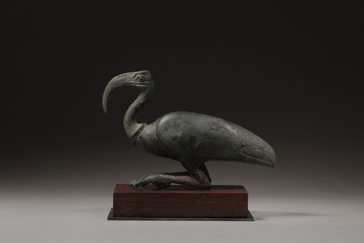 THOT IBIS.  Égypte, Basse Époque.-photo-3