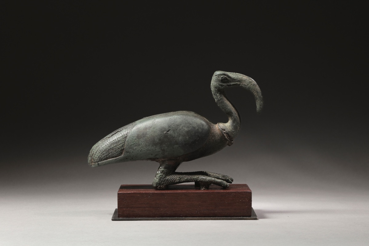 THOT IBIS.  Égypte, Basse Époque.