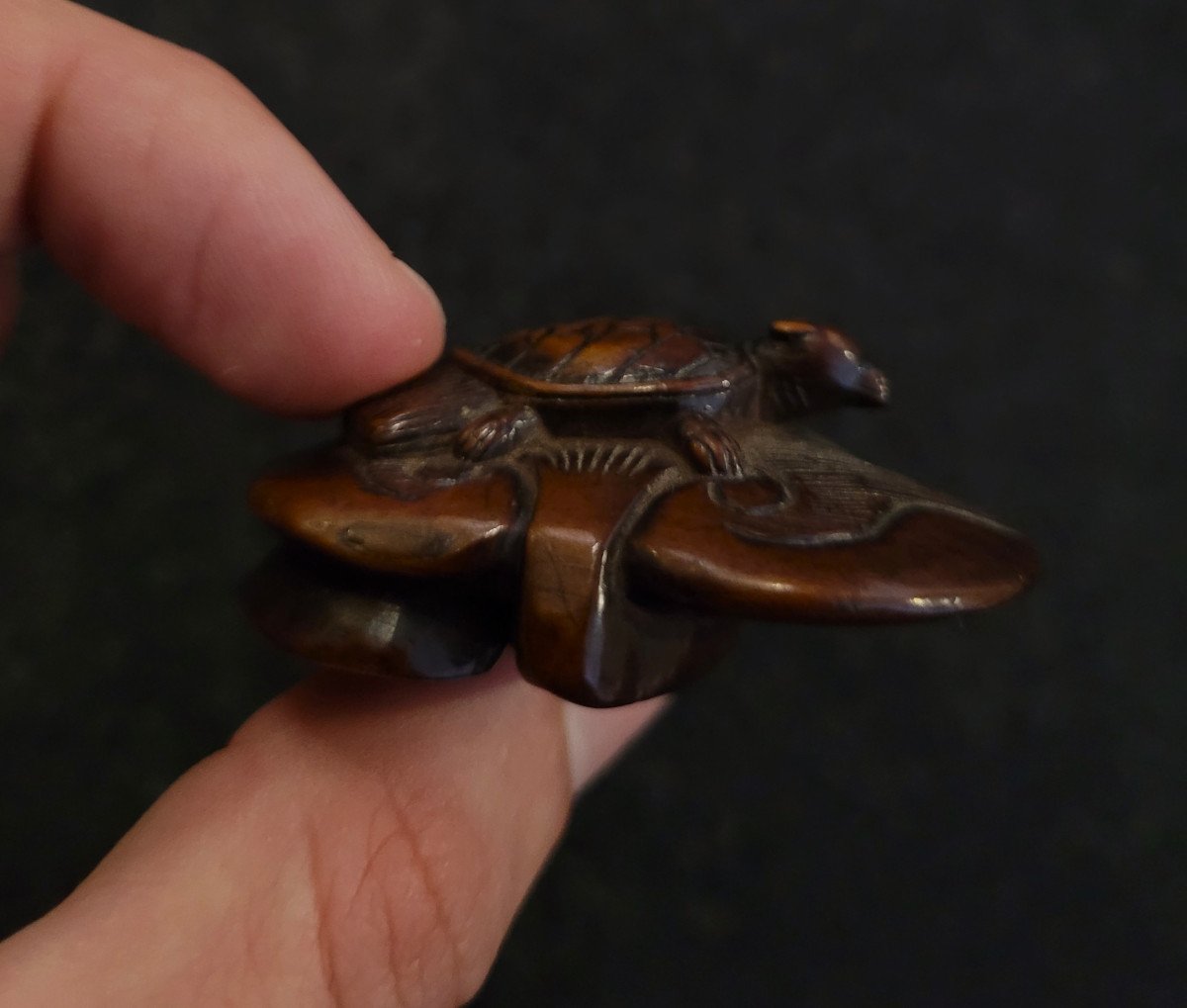 Netsuke - Minogamous Turtle On A Stylized Water Lily - Wood-photo-4