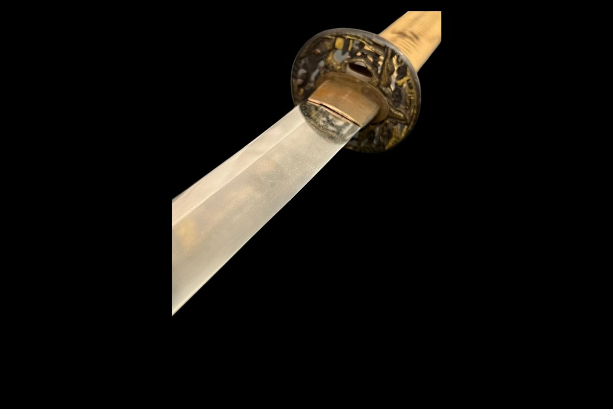Shinto Katana -photo-4