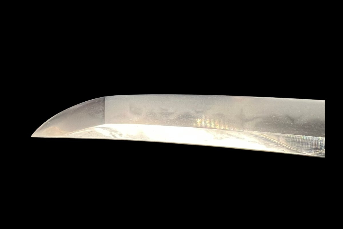 Shinto Wakizashi-photo-3