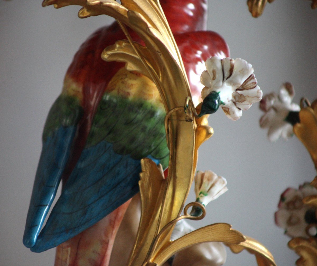 Pair Of Candelabra - Parrots In Porcelain Of Saxe-photo-1