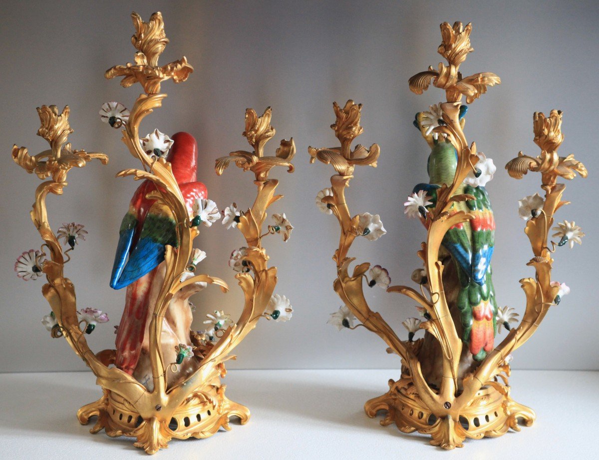 Pair Of Candelabra - Parrots In Porcelain Of Saxe-photo-6