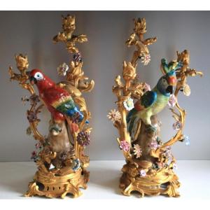 Pair Of Candelabras In Saxon Porcelain Parrots