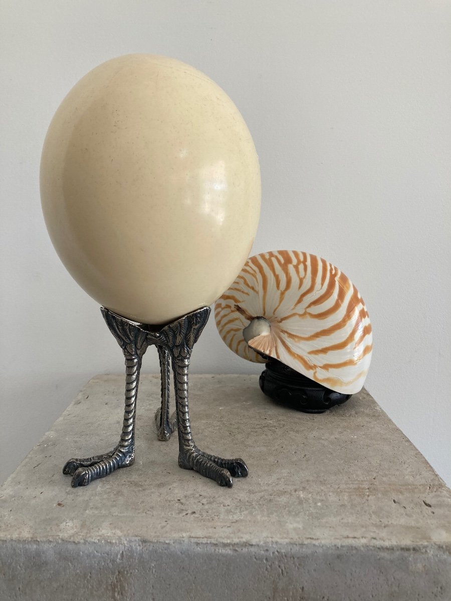 Ostrich Egg And Nautilus