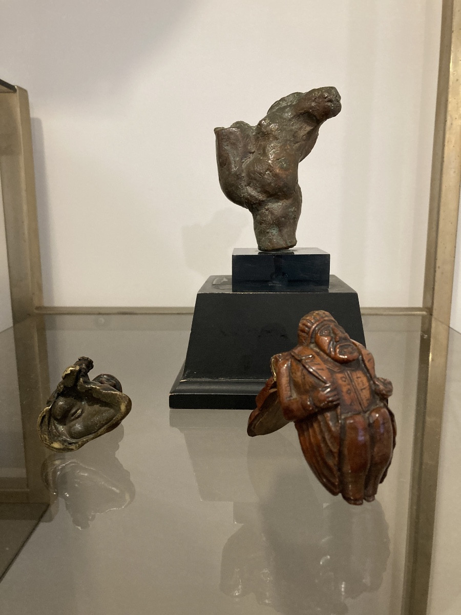 Petit cabinet de curiosités 