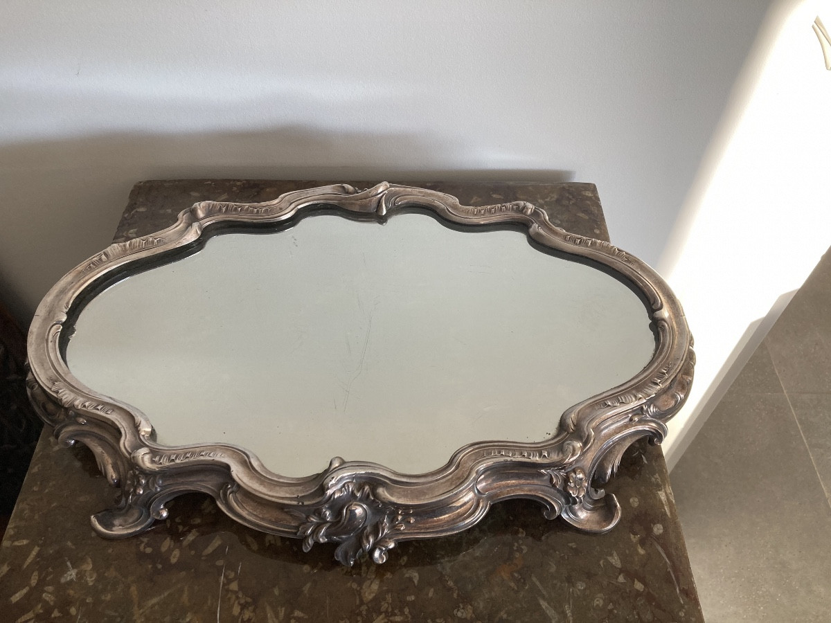 Silvered Bronze Centerpiece -photo-3