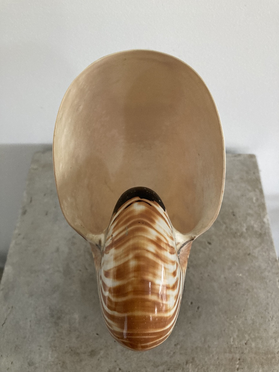 Nautilus Base -photo-1