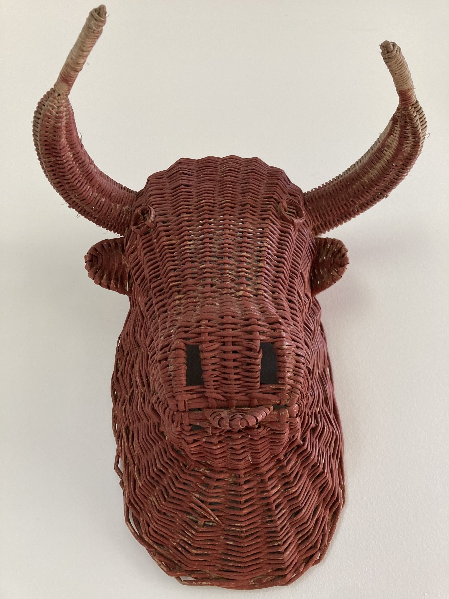 Tête de taureau années 1950-photo-3