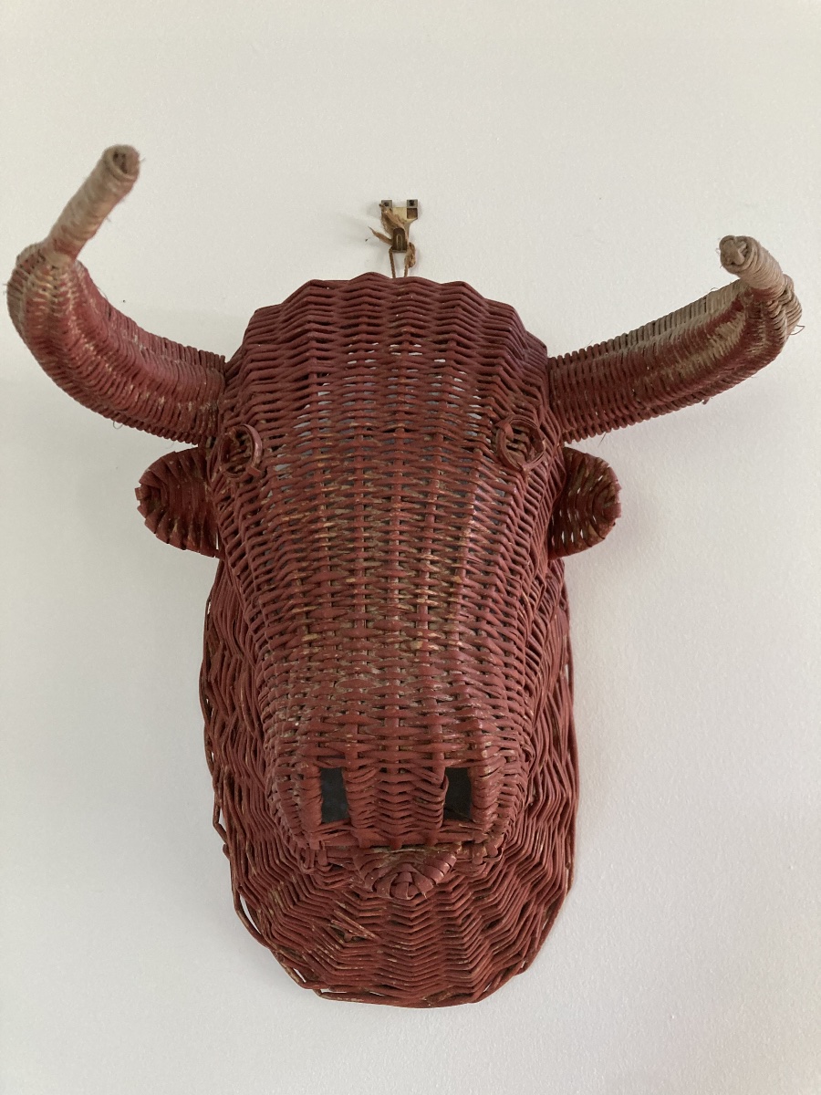 Tête de taureau années 1950