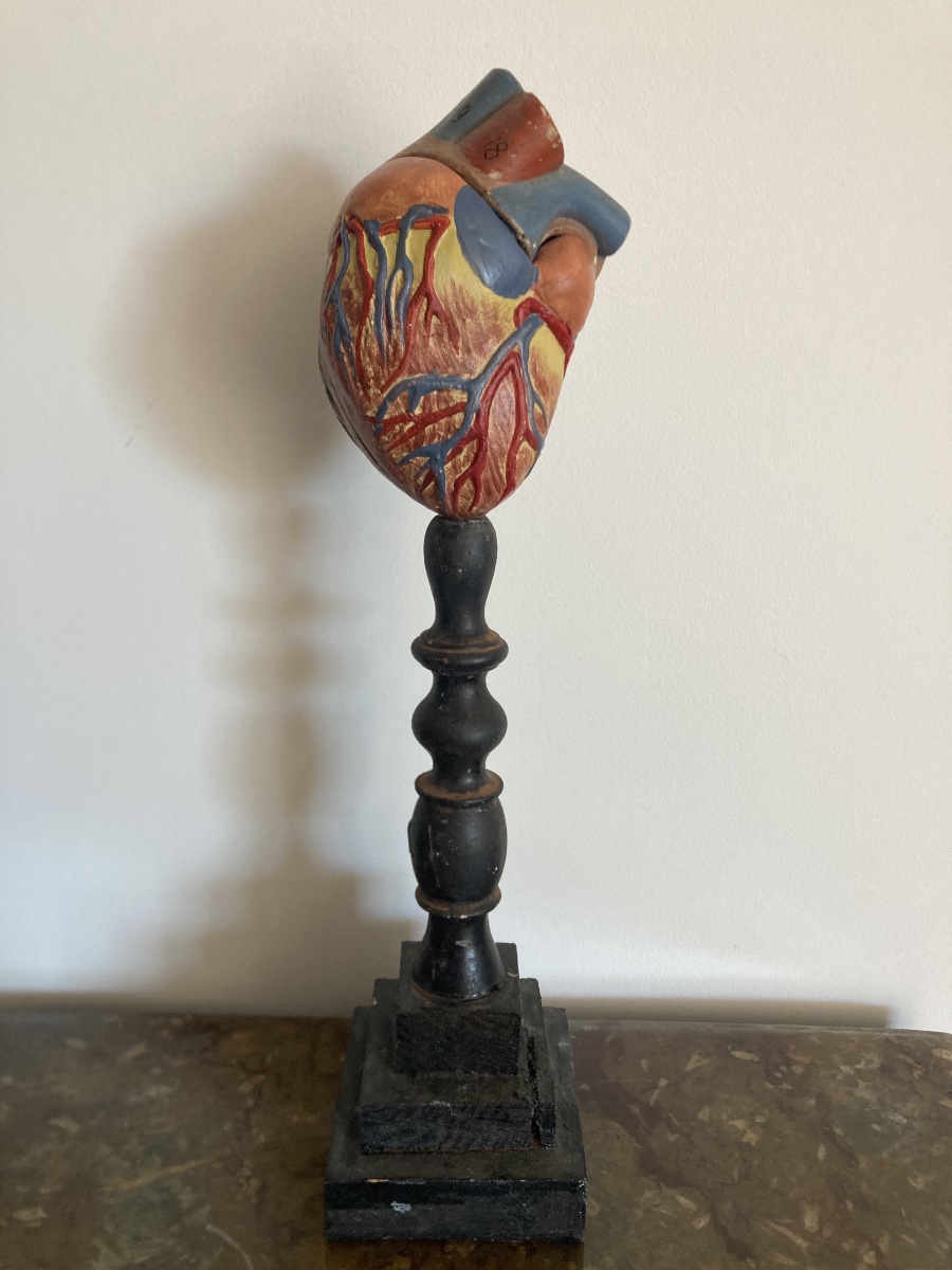 Objet didactique