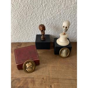 Small Cabinet Of Curiosities 