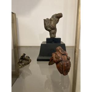 Petit cabinet de curiosités 