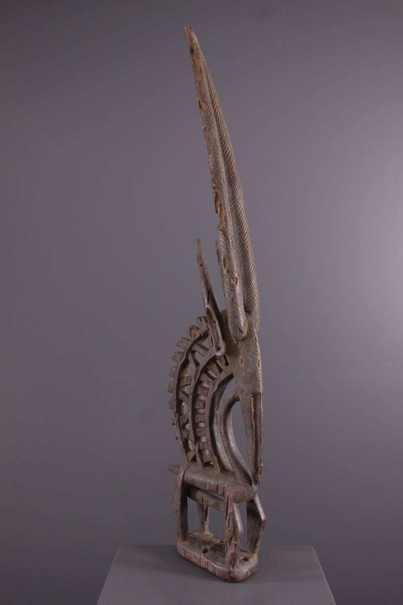African Tribal Art - Ci Wara Bamana Crest Mask-photo-2