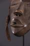1223987-6554d5e86fcd5.jpg
