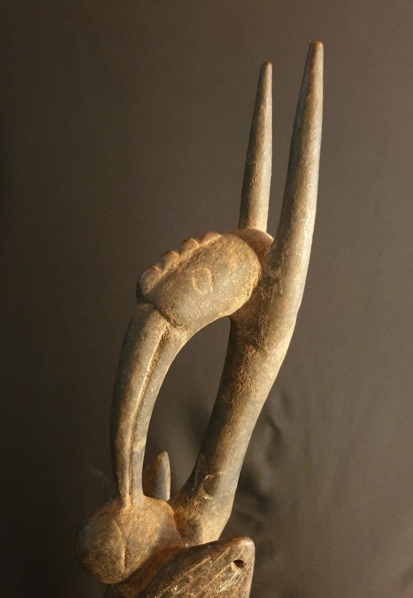 Senoufo (cote d'Ivoire) - Calao - 62 Cm-photo-2
