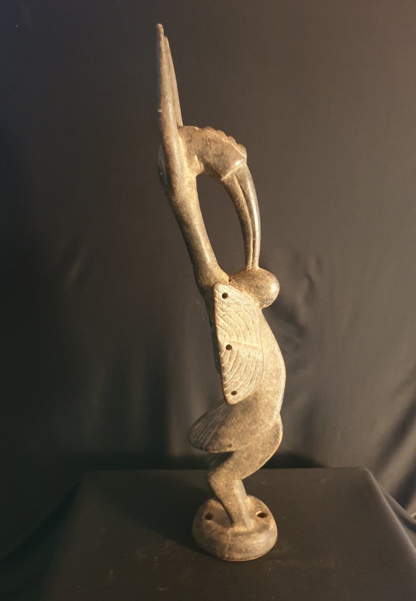 Senoufo (cote d'Ivoire) - Calao - 62 Cm-photo-3