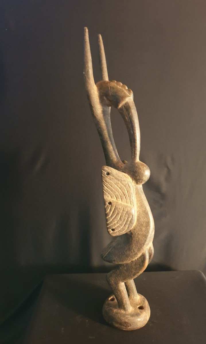 Senoufo (cote d'Ivoire) - Calao - 62 Cm-photo-1