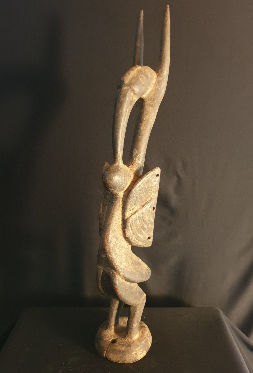 Senoufo (cote d'Ivoire) - Calao - 62 Cm-photo-2