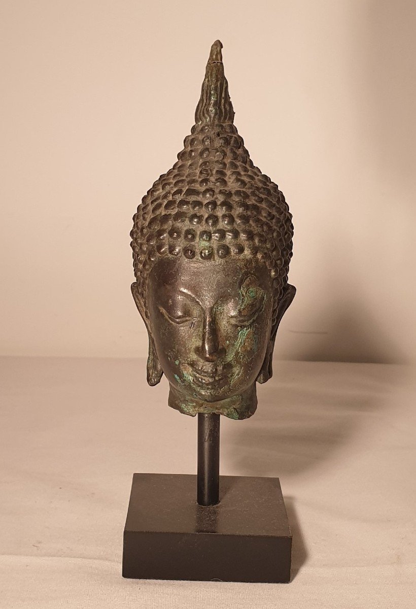 Thaïlande - Tête De Bouddha Ayutthaya