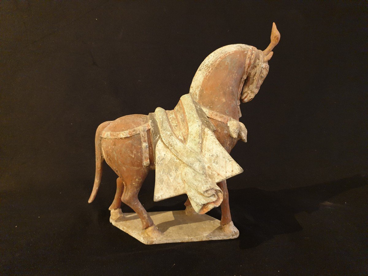 Chine - Cheval époque Wei (356 - 557) - 32 Cm - certificat-photo-3