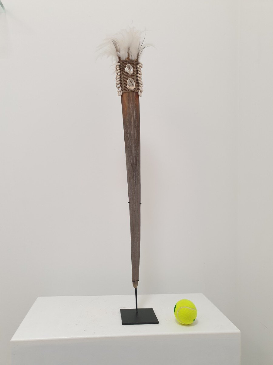 Papua New Guinea - Rostrum - 90 Cm-photo-2