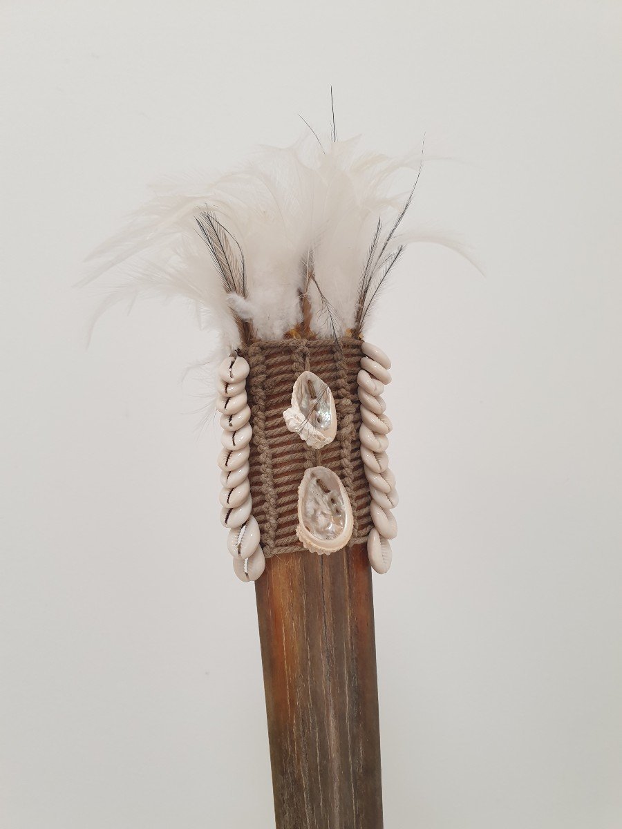 Papua New Guinea - Rostrum - 90 Cm-photo-3