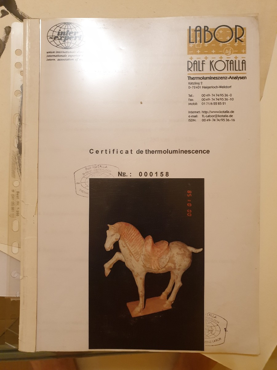 Dynastie Tang (618-907) - Cheval "prancing" - 47,5 cm - avec test-photo-6