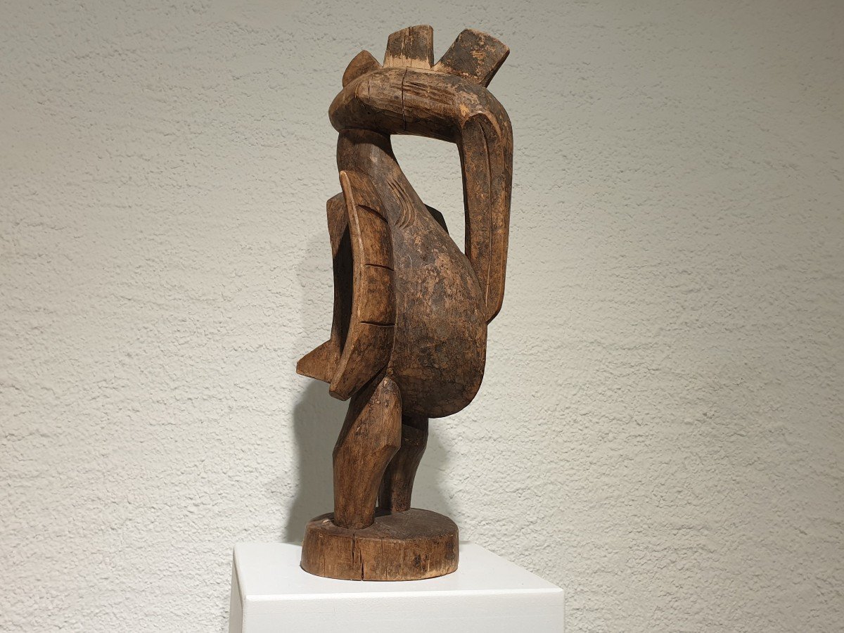 Calao Senoufo-photo-2