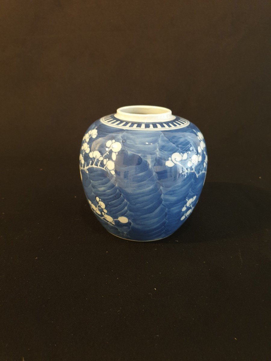 China - White & Blue Pot With Plum Tree Decor - 12 Cm - 20th-photo-4