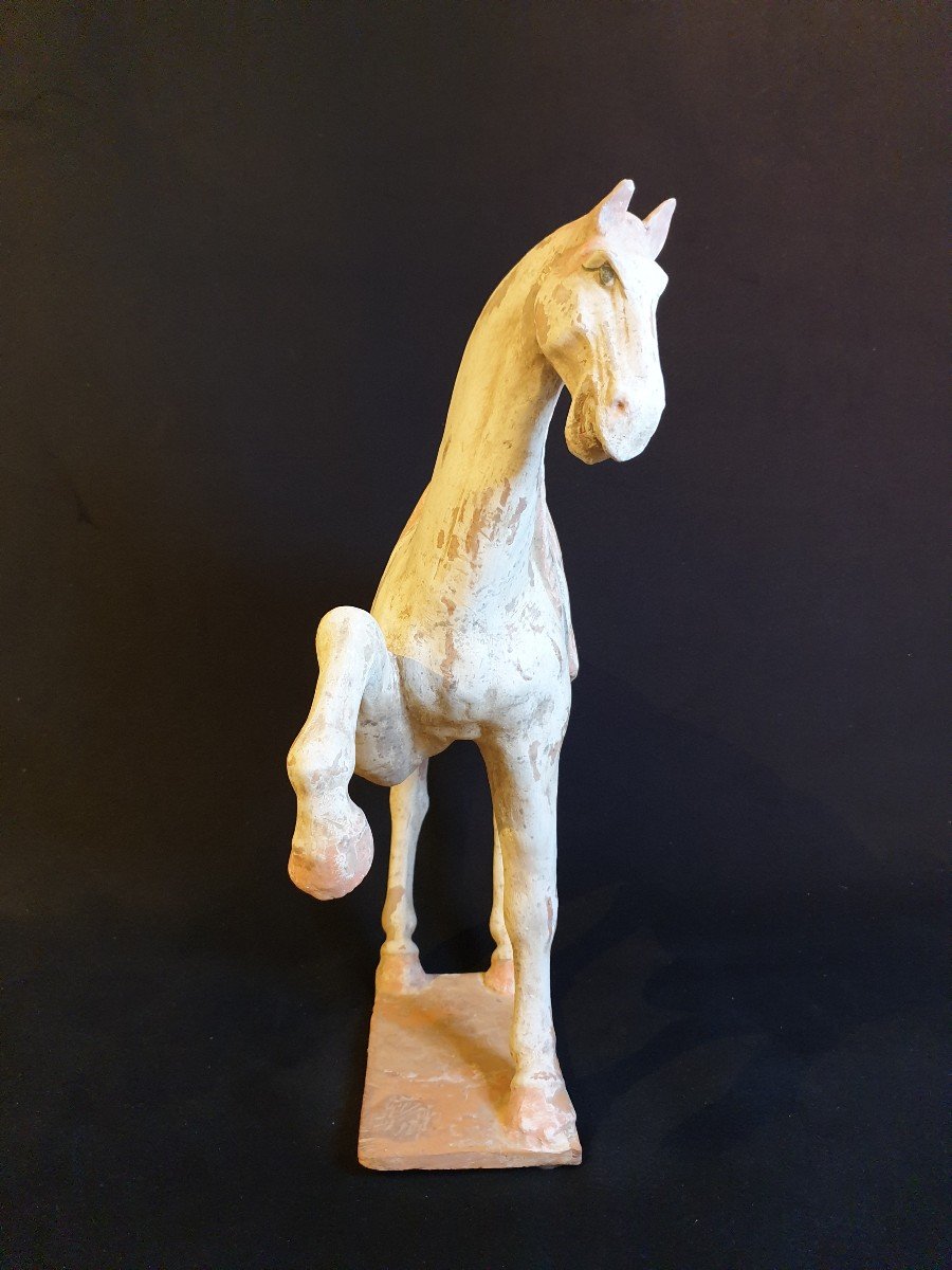 Grand cheval Dynastie Tang - 47.5 cm - certificat-photo-4