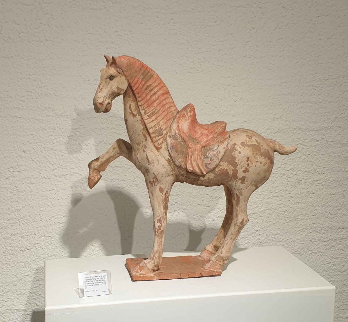 Grand cheval Dynastie Tang - 47.5 cm - certificat
